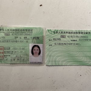 驾驶证样图
